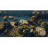 Shadow Tactics Blades of the Shogun Xbox One